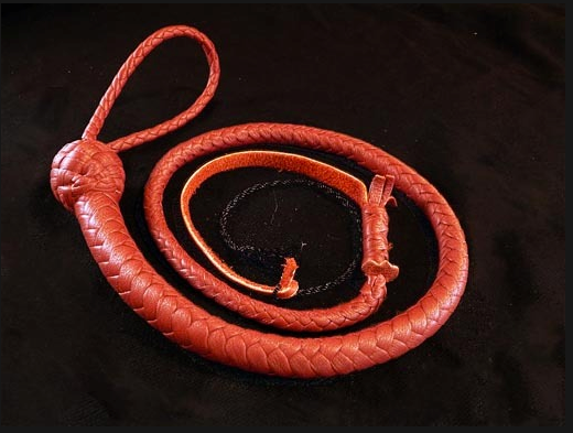 Snake Whip